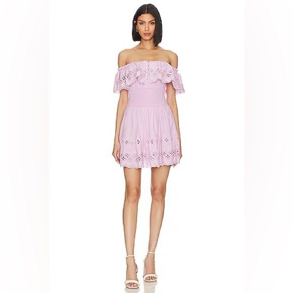 Lovers + Friends Dresses & Skirts - 💕 Lovers and Friends x Jetset Christina Dallas Mini Dress